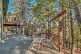 25101 Bear Hill Road - Photo 55