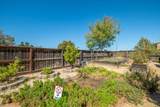 33203 Pintail Street - Photo 38
