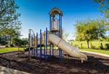 33203 Pintail Street - Photo 48