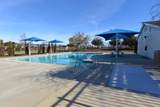 33203 Pintail Street - Photo 49