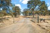 9799 Big Hill Road - Photo 7