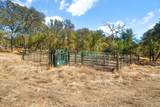 9799 Big Hill Road - Photo 79