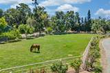 23303 Buena Vista Road - Photo 10