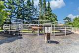 23303 Buena Vista Road - Photo 12
