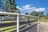 23303 Buena Vista Road - Photo 13