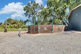 23303 Buena Vista Road - Photo 14
