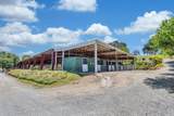 23303 Buena Vista Road - Photo 21
