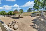 23303 Buena Vista Road - Photo 39