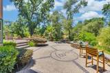 23303 Buena Vista Road - Photo 49