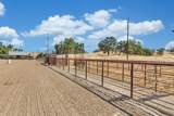 23303 Buena Vista Road - Photo 8