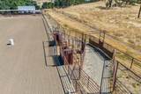 23303 Buena Vista Road - Photo 9