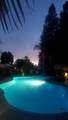 11604 Blazing Star Court - Photo 32