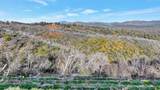 10263 Ham Luddy Road - Photo 13