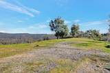 10263 Ham Luddy Road - Photo 8