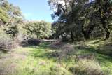 20335 Montana Lane - Photo 16