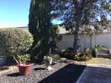 92 Buena Vista - Photo 6