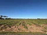 11501 Jahant Road - Photo 4
