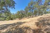 5211 Da Vinci Drive - Photo 20