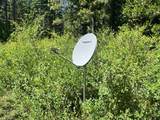 25442 Back Bone Road - Photo 4