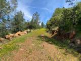 17354 Cloudburst Way - Photo 40
