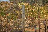 3040 Ponderosa Road - Photo 44