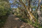 14238 Sutter Highlands Drive - Photo 2