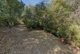 14238 Sutter Highlands Drive - Photo 3