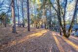 3026 Talking Mountain Trail - Photo 45