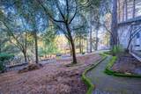 3026 Talking Mountain Trail - Photo 48