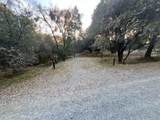 7771 Boondock Trail - Photo 9