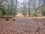 7771 Boondock Trail - Photo 10