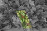 3988 Pearl Road - Photo 8