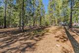 19818 Pine Drive - Photo 12