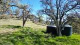 24343 Big Spring Drive - Photo 38