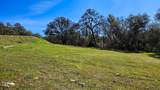 14576 Ballantree Lane - Photo 16