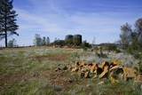 16076 Keson Place - Photo 4