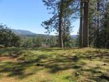 4196 Bald Mountain Road - Photo 4