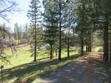 4196 Bald Mountain Road - Photo 42