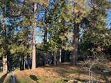 1238 Canyon Ridge Court - Photo 5