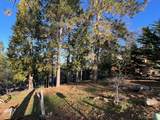 1238 Canyon Ridge Court - Photo 9