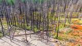 10020 Grizzly Flat Road - Photo 14