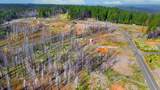 10020 Grizzly Flat Road - Photo 17