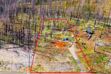 10020 Grizzly Flat Road - Photo 2