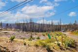 10020 Grizzly Flat Road - Photo 3