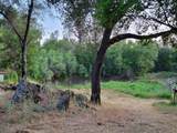 2681 Pinecrest Road - Photo 65