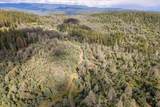 0 Donkey Mine Rd - Photo 8