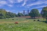 21012 Shenandoah School Road - Photo 5