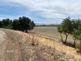 17398 Tracy Boulevard - Photo 11
