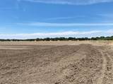 17398 Tracy Boulevard - Photo 4