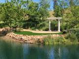 7005 Mountain Ranch Road - Photo 11